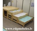 Priedes gulta BD-P3-G