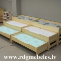 Priedes gulta BD-P3