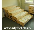 Priedes gulta BD-P4-G