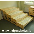 Priedes gulta BD-P4-G