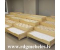 Priedes gulta BD-P4