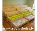 Priedes gulta BD-P5
