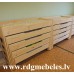 Priedes gulta BD-P5 Priedes gulta BD-P5