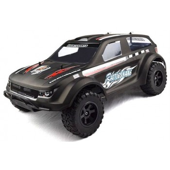 RC-NITRO-10