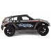 RC-NITRO-10