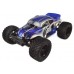 RC-NITRO-13