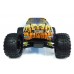 RC-NITRO-19