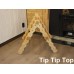 Tip-5 Tip-5